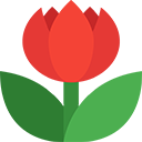 دارالشفاء