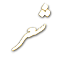 شعر هفته